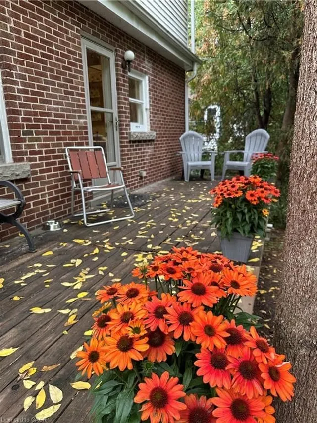 Additional image 21 of 147 Cline Ave