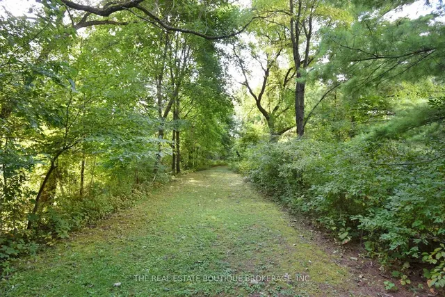 Additional image 40 of 1966 Concession 2