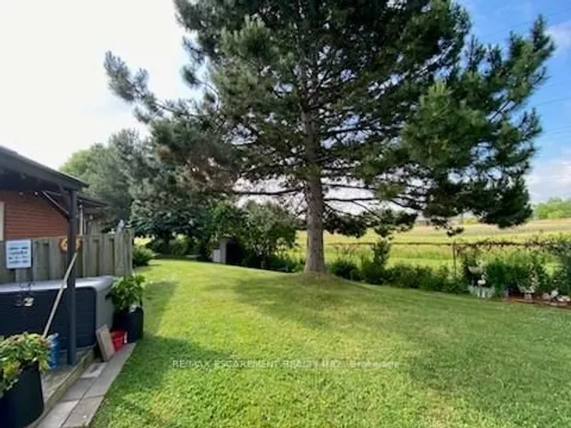 Additional image 33 of 41 SISTER KERN Terr