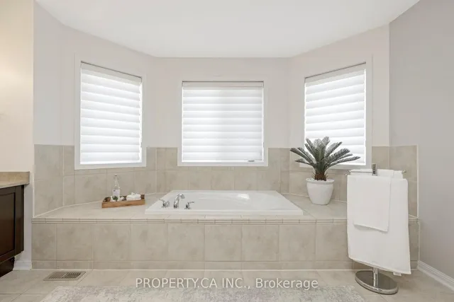 Additional image 28 of 329 Potts Terr