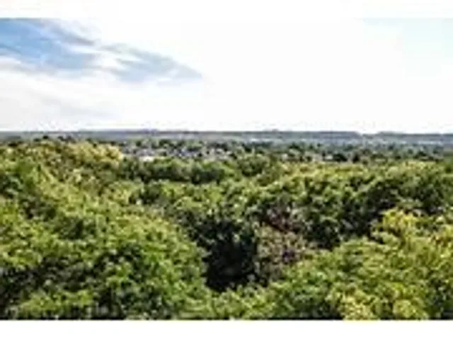 Additional image 20 of 75 Glenburn Crt Unit 811