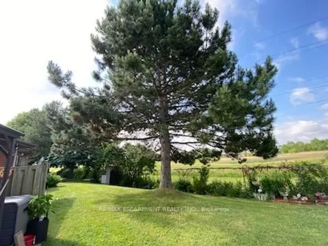 Additional image 35 of 41 SISTER KERN Terr