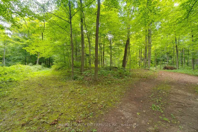 Additional image 18 of 12909 5th Line