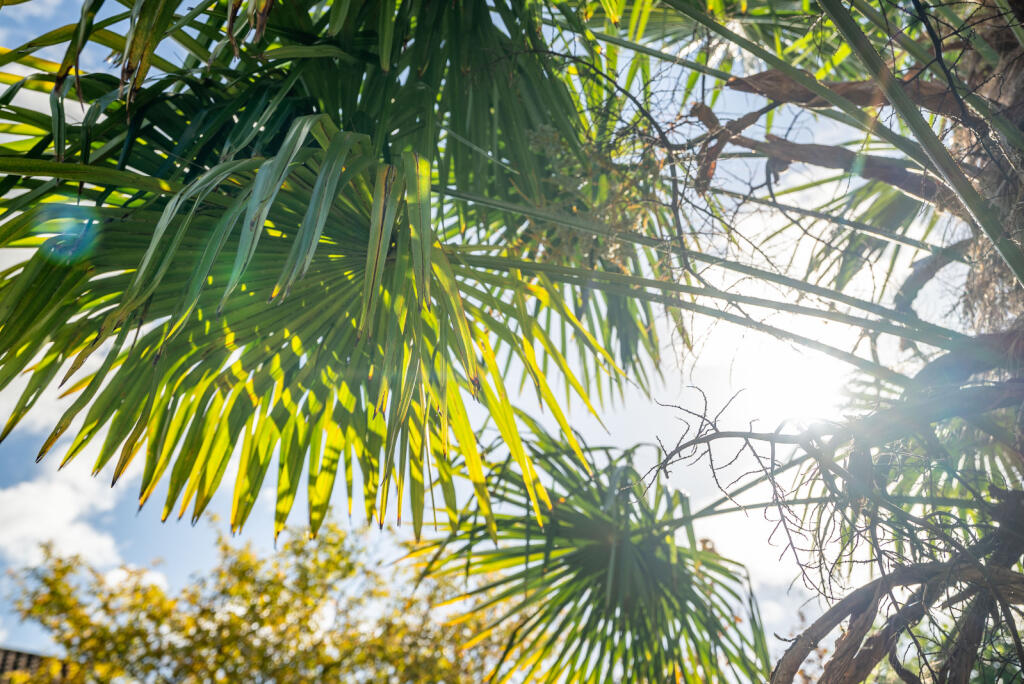 Additional image 18 of Kingfisher Close, Wheathampstead, St. Albans, Hertfordshire, AL4