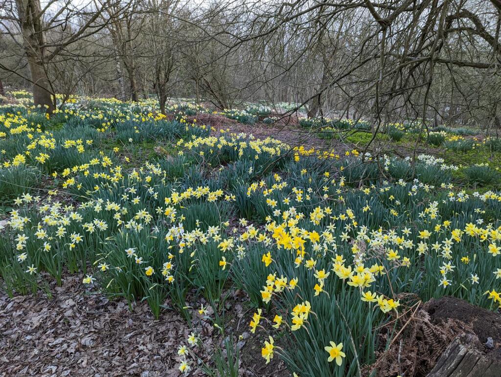 Additional image 43 of Tewin Water, Digswell