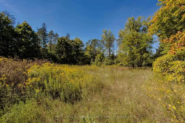 Additional image 8 of 4871 Wellington Road 29