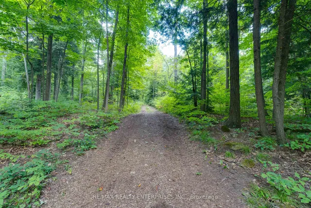 Additional image 19 of 12909 5th Line