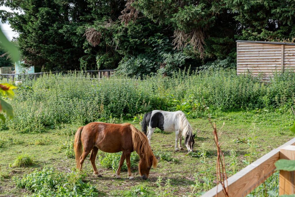 Additional image 18 of Codicote Road, Welwyn