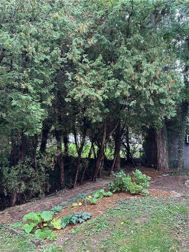 Additional image 23 of 147 Cline Ave