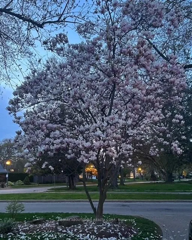 Additional image 49 of 206 Rossmore Blvd