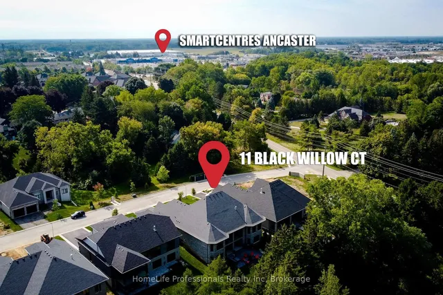 Additional image 46 of 11 Black Willow Crt