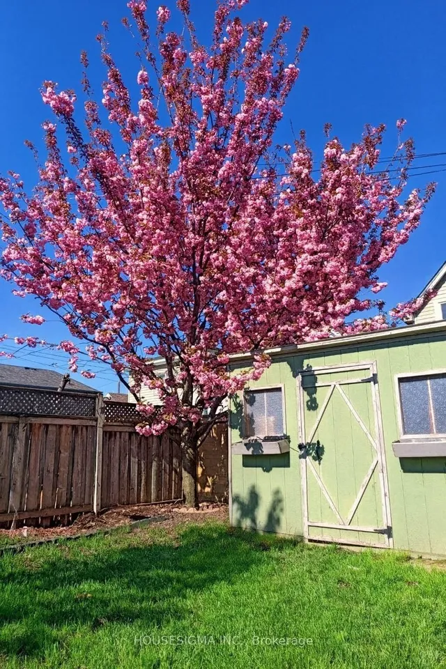 Additional image 28 of 6 Albany Ave