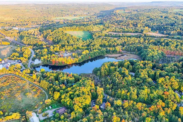 Additional image 47 of 106 Campbell Ave