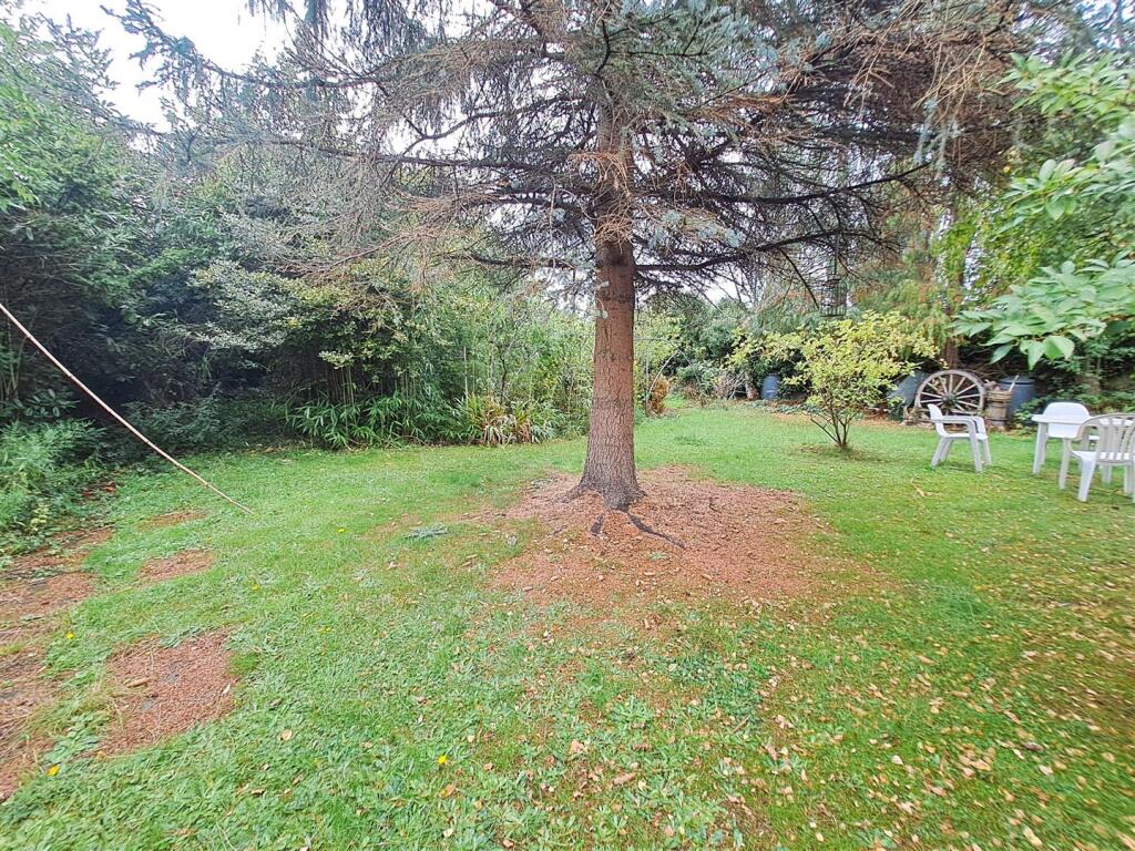 Additional image 14 of Yew Tree Lane, Yardley, Birmingham