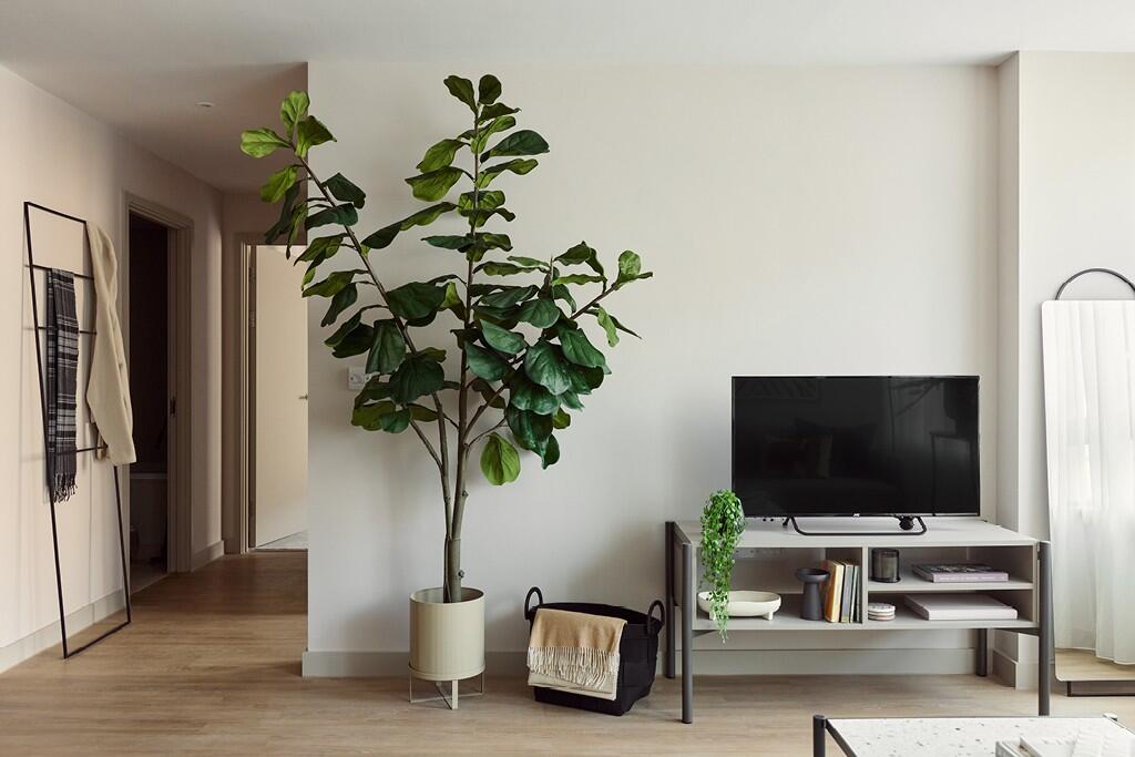 Additional image 9 of Pitsford Street, Birmingham, B18