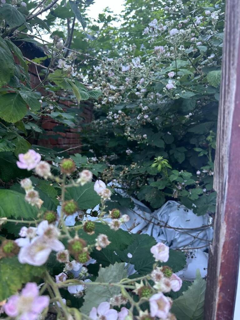 Additional image 7 of Herbert Road, Handsworth, Birmingham