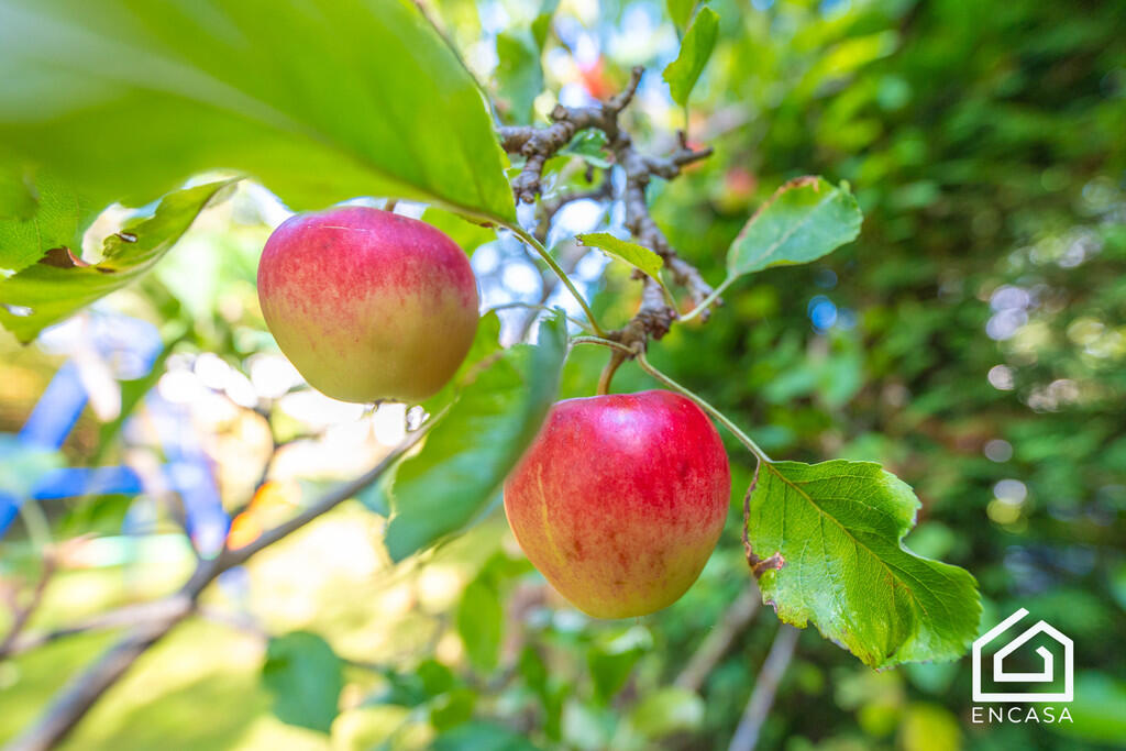 Additional image 22 of Wycome Road, Hall Green, Birmingham