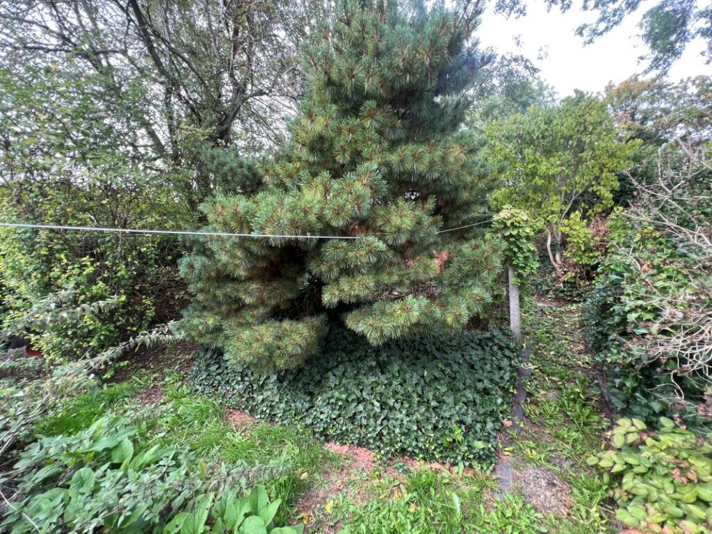 Additional image 31 of 86 Woodland Road, Northfield, Birmingham, B31 2HY