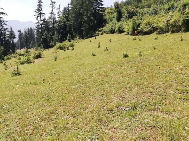 Additional image 2 of Rampur Bushahr, Shimla