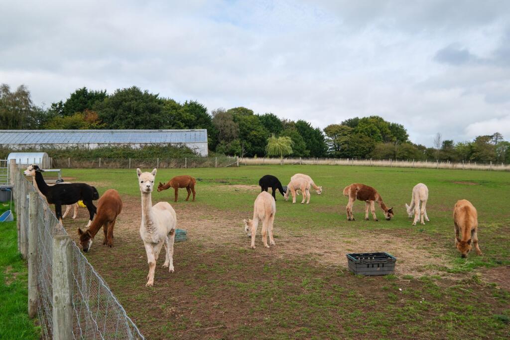 Additional image 26 of Bumble Hole Lane, Dodford, B61