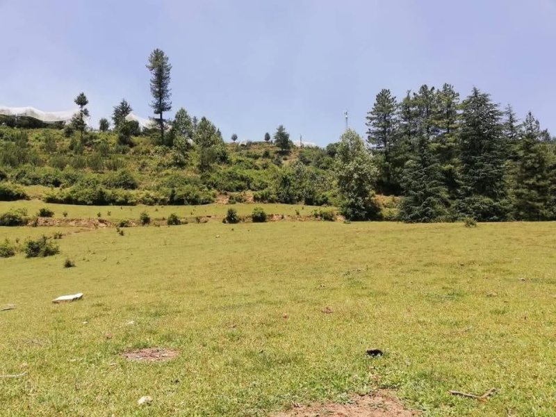 Property image for Rampur Bushahr, Shimla