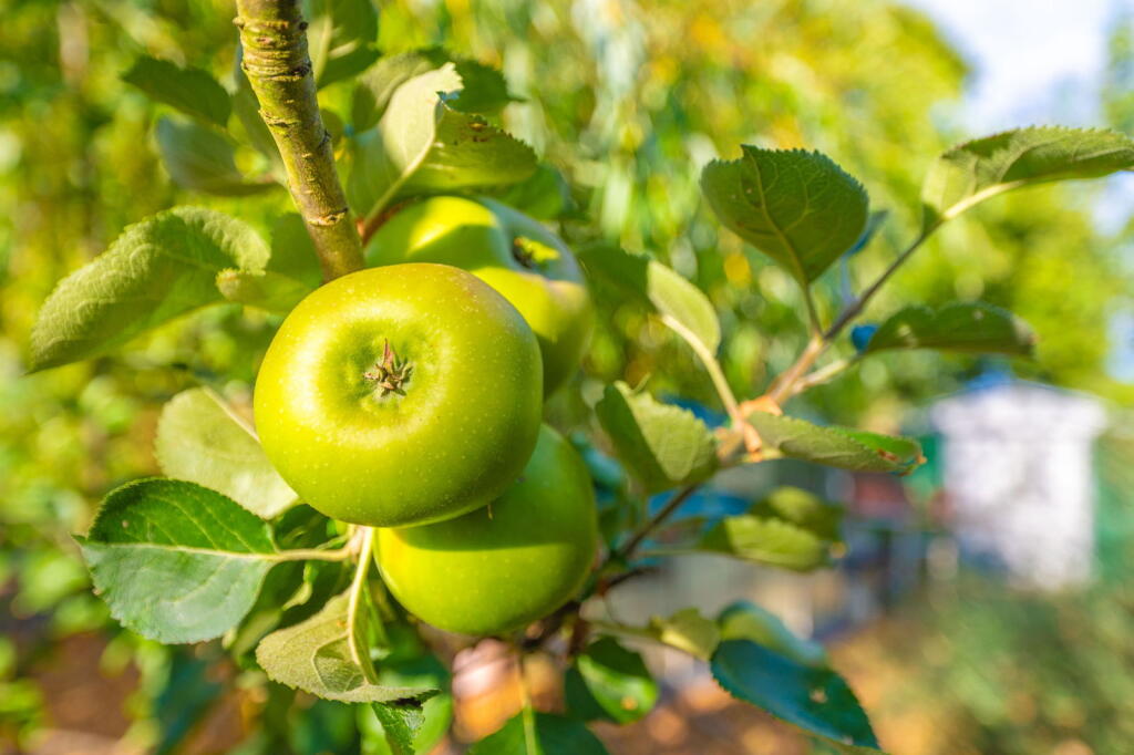 Additional image 36 of Alcester Road, Wythall, Birmingham, B47 6AP