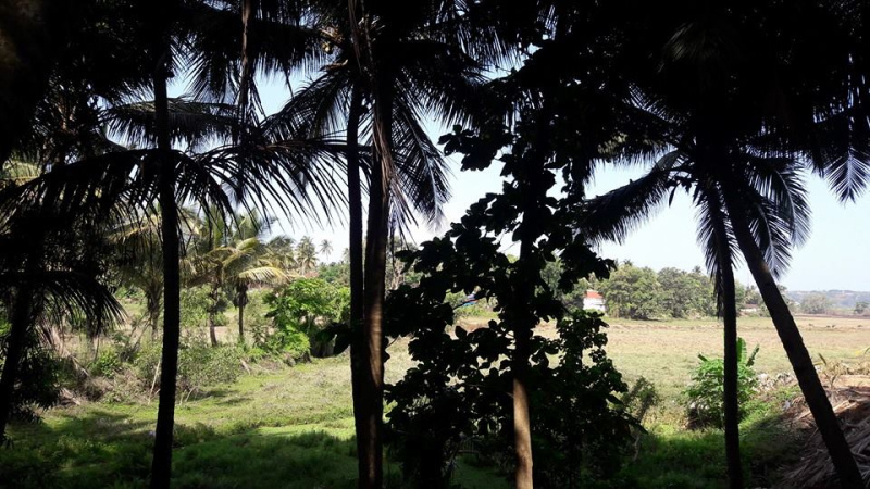 Property image for Chandor, Goa