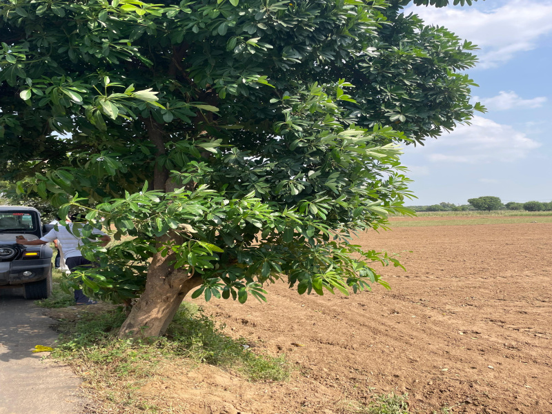 Additional image 3 of Sohna Road, Faridabad