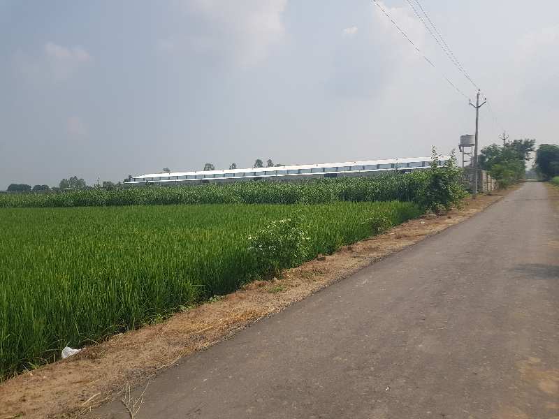 Property image for Doraha, Ludhiana