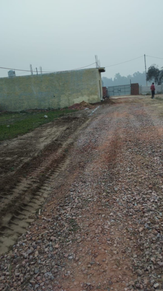 Property image for Mitraon, Najafgarh, Delhi