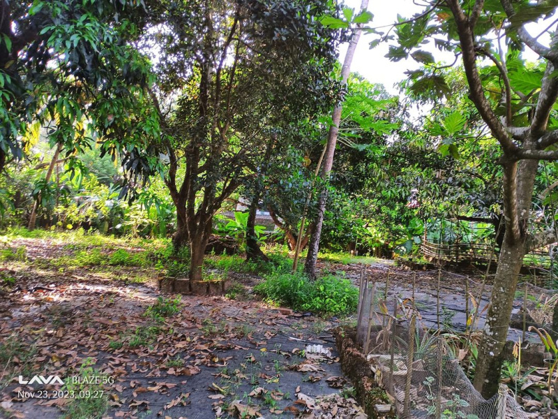 Additional image 3 of Chandor, Goa