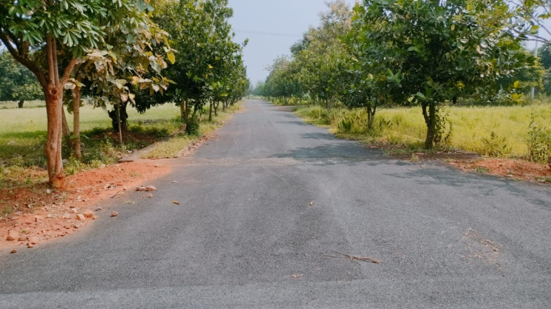 Property image for Bhogapuram, Visakhapatnam