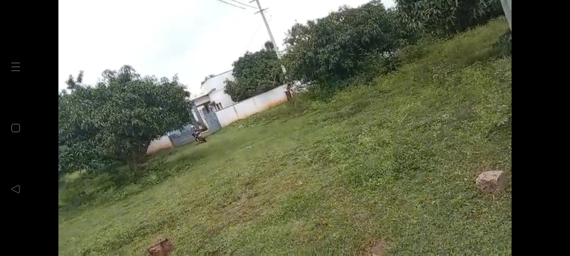 Additional image 2 of Hunsur, Mysore