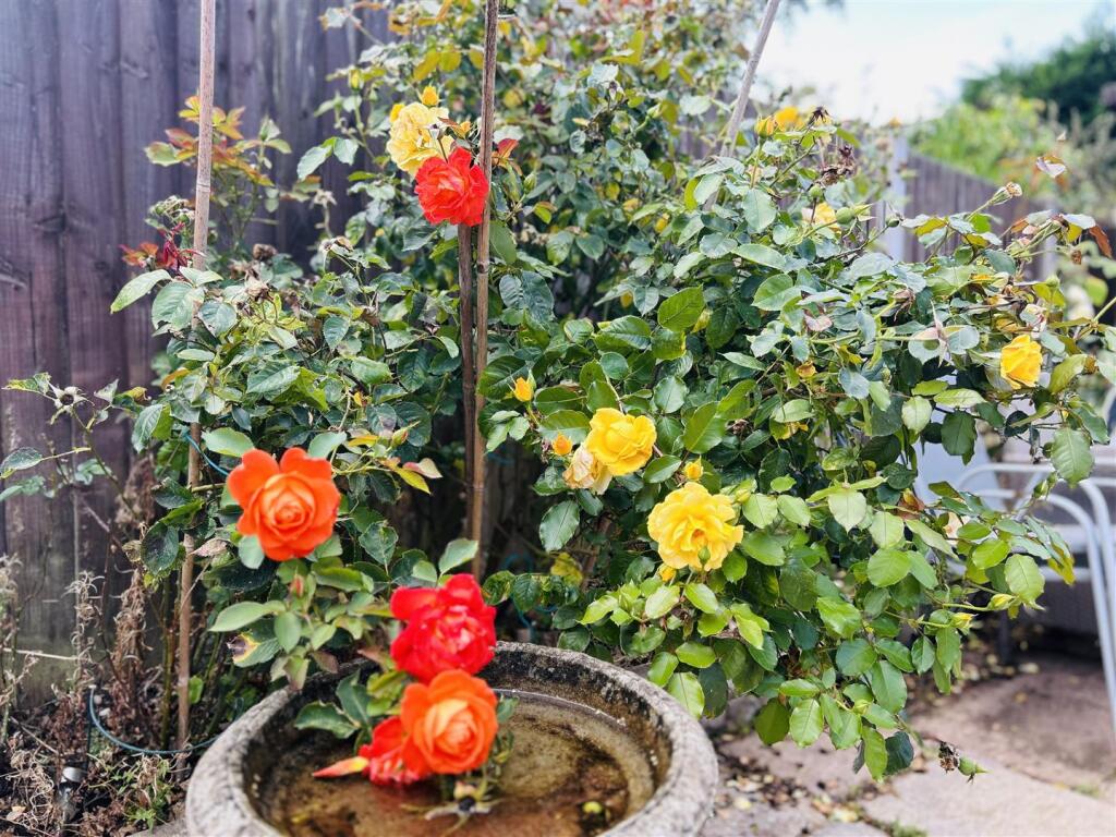 Additional image 16 of St. Kenelm's Road, Romsley