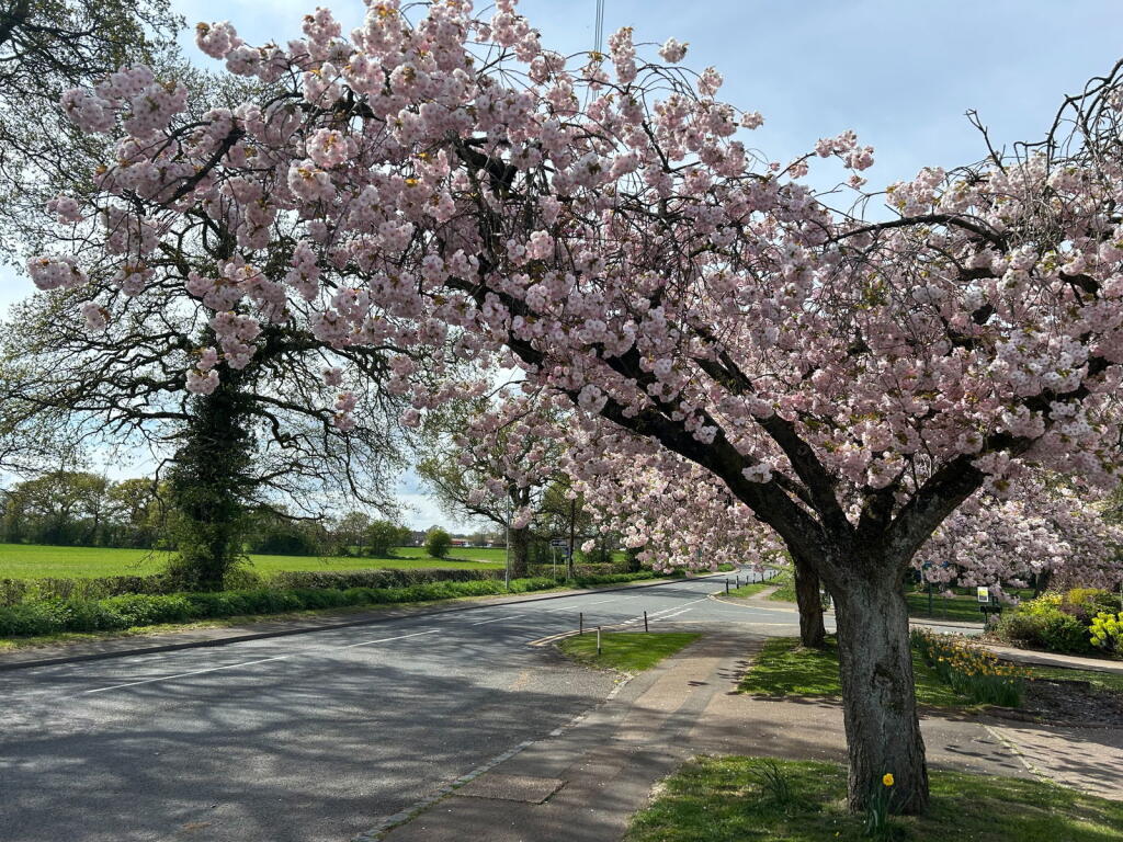 Additional image 31 of 74 Station Road, Wythall