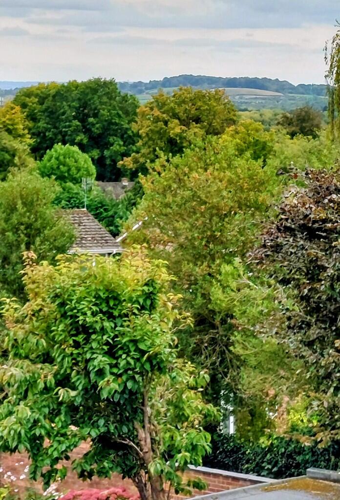 Additional image 4 of New Road, Bromsgrove, Worcestershire, B60