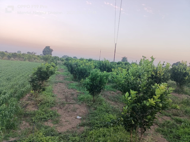 Property image for Kalameshwar, Nagpur