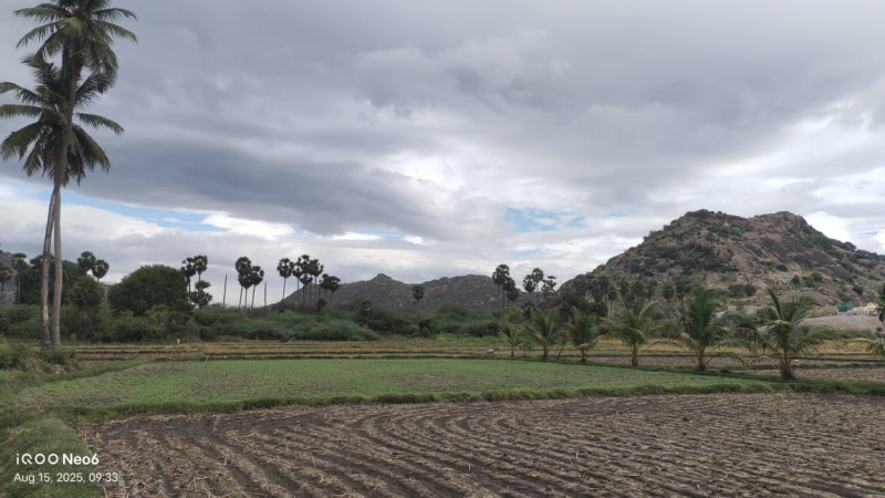 Additional image 3 of Peraiyur, Madurai