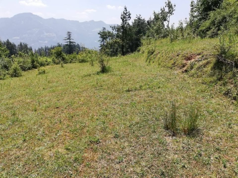 Additional image 3 of Rampur Bushahr, Shimla