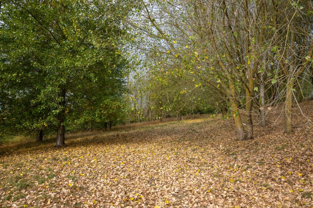 Additional image 30 of Bulls Lane, Wishaw, Sutton Coldfield, Warwickshire, B76