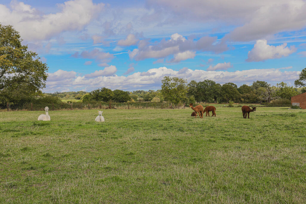 Additional image 46 of The Gallery, Henley Road, B80