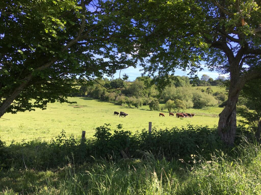 Additional image 27 of Midford, Bath, Somerset, BA2