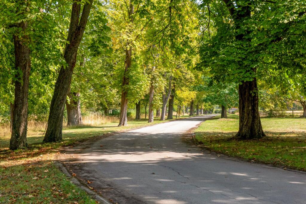 Additional image 19 of Earlswood, Solihull