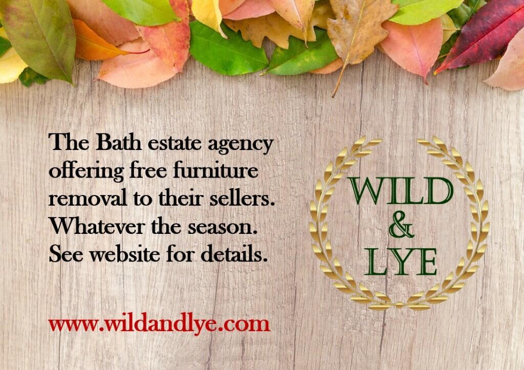 Additional image 12 of BATHWICK - Daniel Street