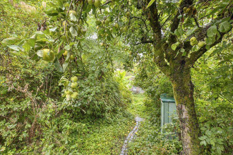 Additional image 19 of A charming 2 bedroom cottage with garden and studio