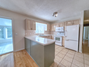 Additional image 3 of 39 White Bark Way