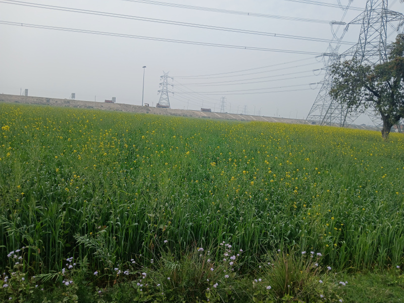 Additional image 3 of Sahjanwa, Gorakhpur