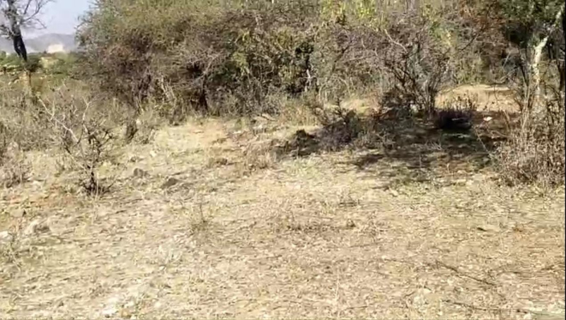 Additional image 2 of Chirva Ghata, Udaipur