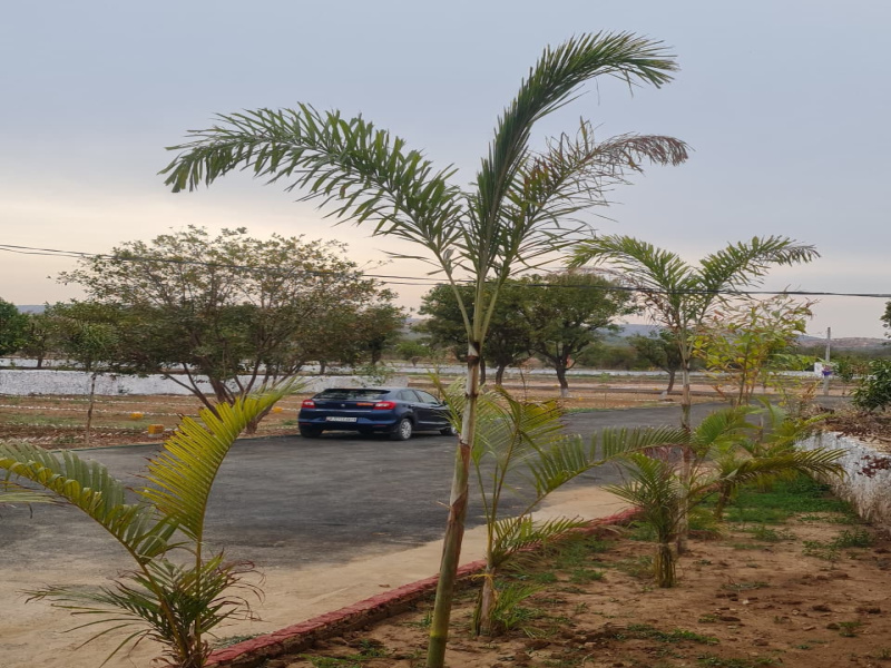 Additional image 2 of Sakroda, Udaipur