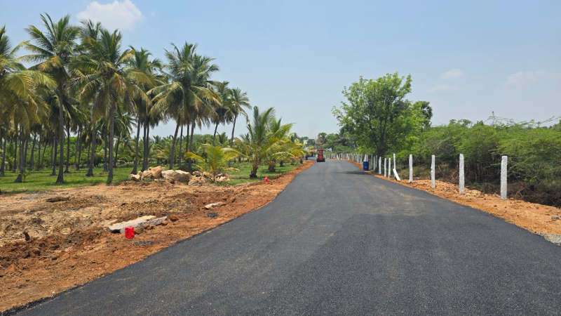 Additional image 2 of Kochadai, Madurai